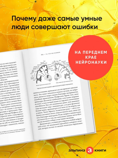 Умнее всех? Как наш мозг думает и принимает решения