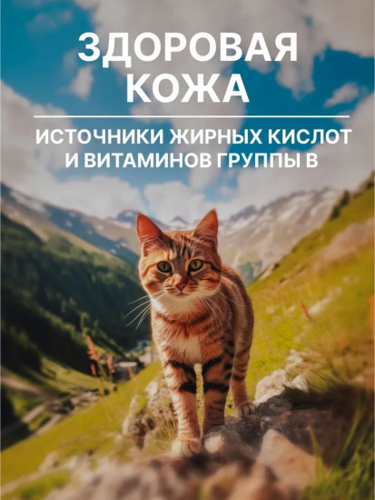 Корм сухой для кошек и котят с лососем и овощами