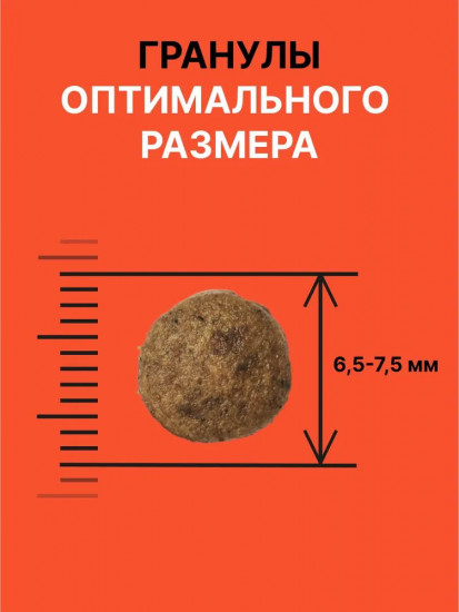 Корм сухой для кошек и котят с лососем и овощами