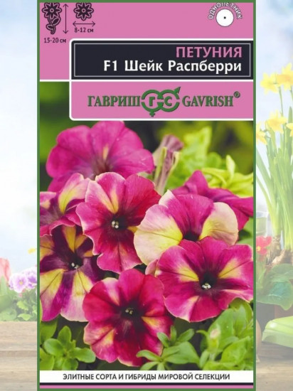 Семена «Петуния Шейк Распберри F1»
