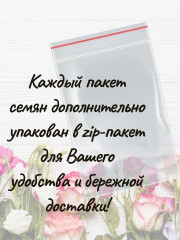 Семена «Петуния Шейк Распберри F1» - Фото 4