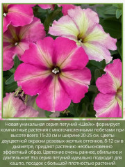 Семена «Петуния Шейк Строуберри F1» - Фото 1