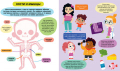 Тело человека - Фото 3