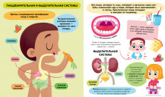 Тело человека - Фото 4