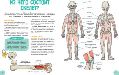 Невероятное тело человека - Фото 4