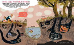 Мир вокруг. Энциклопедия в картинках - Фото 3