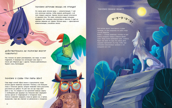 Большая книга «Почему?»