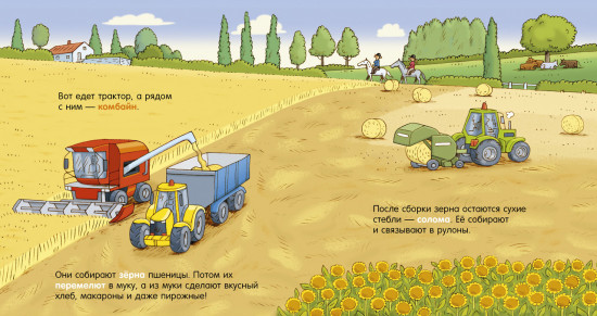 Ферма
