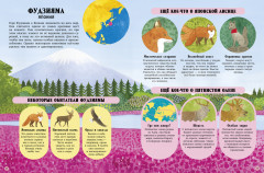 Удивительные животные и где они обитают - Фото 1