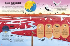 Удивительные животные и где они обитают - Фото 3