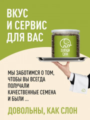 Семена чиа для похудения - Фото 2