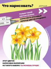 Набор спиртовых маркеров «Флора» - Фото 11