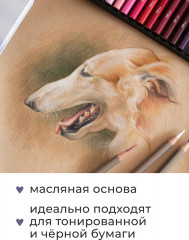 Набор карандашей цветных профессиональных «GrafArt Pro» - Фото 7