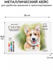 Набор карандашей цветных профессиональных «GrafArt Pro» - Фото 3