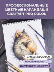 Набор карандашей цветных профессиональных «GrafArt Pro» - Фото 5