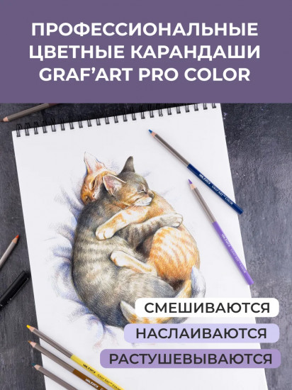 Набор карандашей цветных профессиональных «GrafArt Pro»