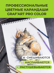 Набор карандашей цветных профессиональных - Фото 5