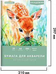 Папка для акварели - Фото 6