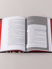 Дисгардиум. Призыв Нергала. Книга 4 - Фото 6