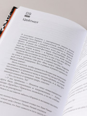 Дисгардиум. Священная война. Книга 5 - Фото 9