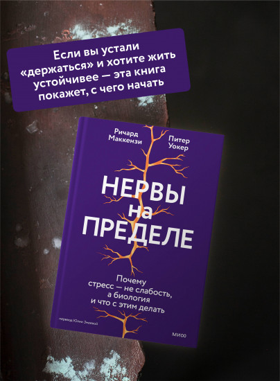 Нервы на пределе. Почему стресс — не слабость, а биология, и что с этим делать