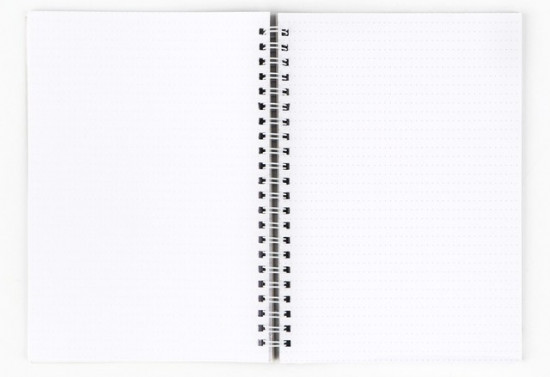 Ежедневник «Мечты сбываются»