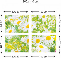 Фотообои «Солнечные ромашки» - Фото 1