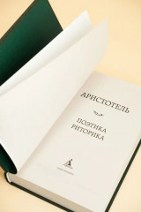 Поэтика. Риторика - Фото 5