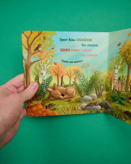 Осень в лесу - Фото 8