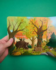 Осень в лесу - Фото 9