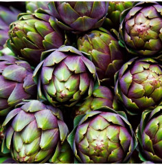 Артишок «Гурман» - Фото 1