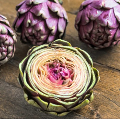 Артишок «Гурман» - Фото 3