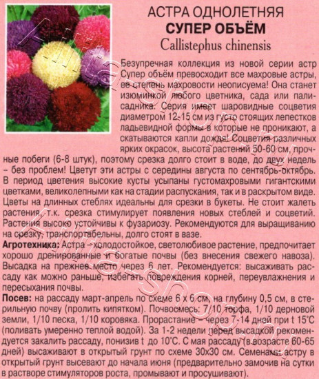 Семена астры, смесь сортов «Супер объём»