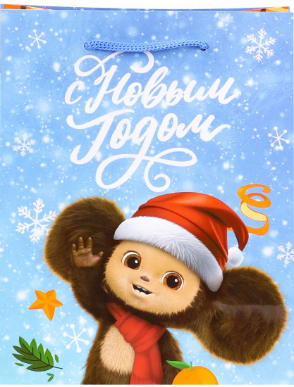 Пакет подарочный «Чебурашка в колпаке»