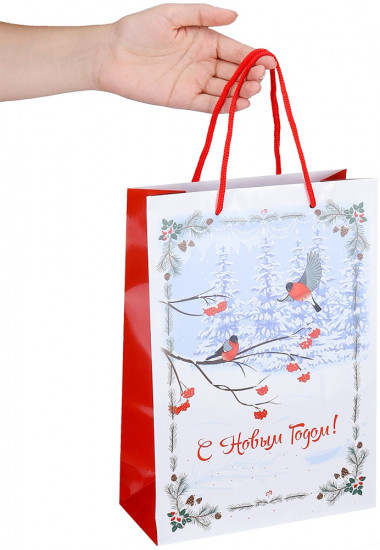 Пакет подарочный «Снегири на ветвях»