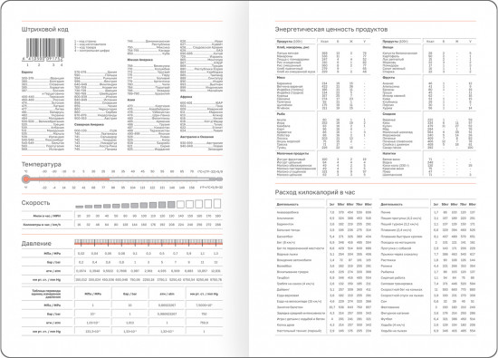 Ежедневник датированный