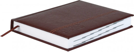 Ежедневник датированный на 2026 год