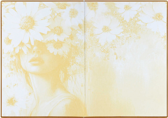 Ежедневник датированный на 2026 год «Золотая эстетика»