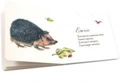 Книги для малышей. Волшебство момента. Комплект из 5 книг - Фото 7