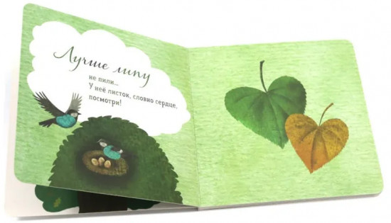Где твое деревце? Где твоя птица? Где твой завтрак? Комплект из 3 книг
