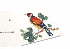 Где твое деревце? Где твоя птица? Где твой завтрак? Комплект из 3 книг - Фото 7