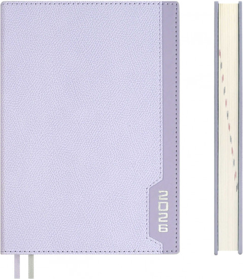 Ежедневник датированный на 2026 год