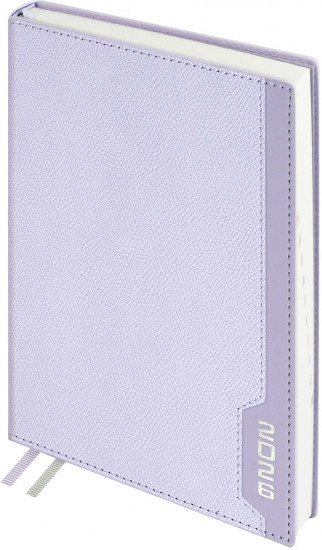 Ежедневник датированный на 2026 год