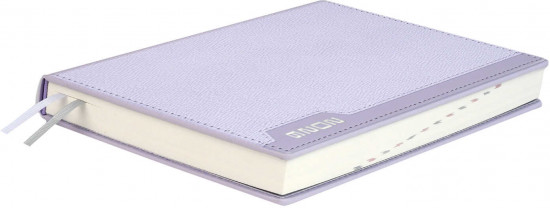 Ежедневник датированный на 2026 год