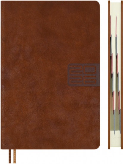 Ежедневник датированный на 2026 год