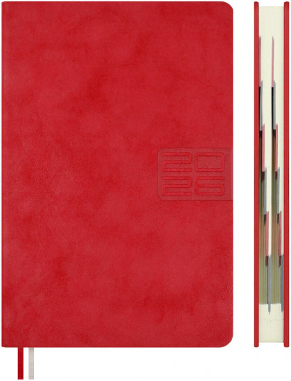 Ежедневник датированный на 2026 год