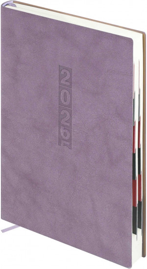 Ежедневник датированный на 2026 год