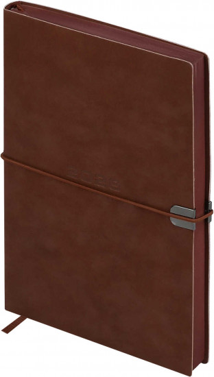 Ежедневник датированный на 2026 год