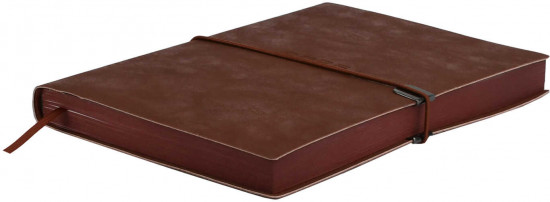 Ежедневник датированный на 2026 год