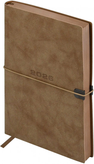 Ежедневник датированный на 2026 год
